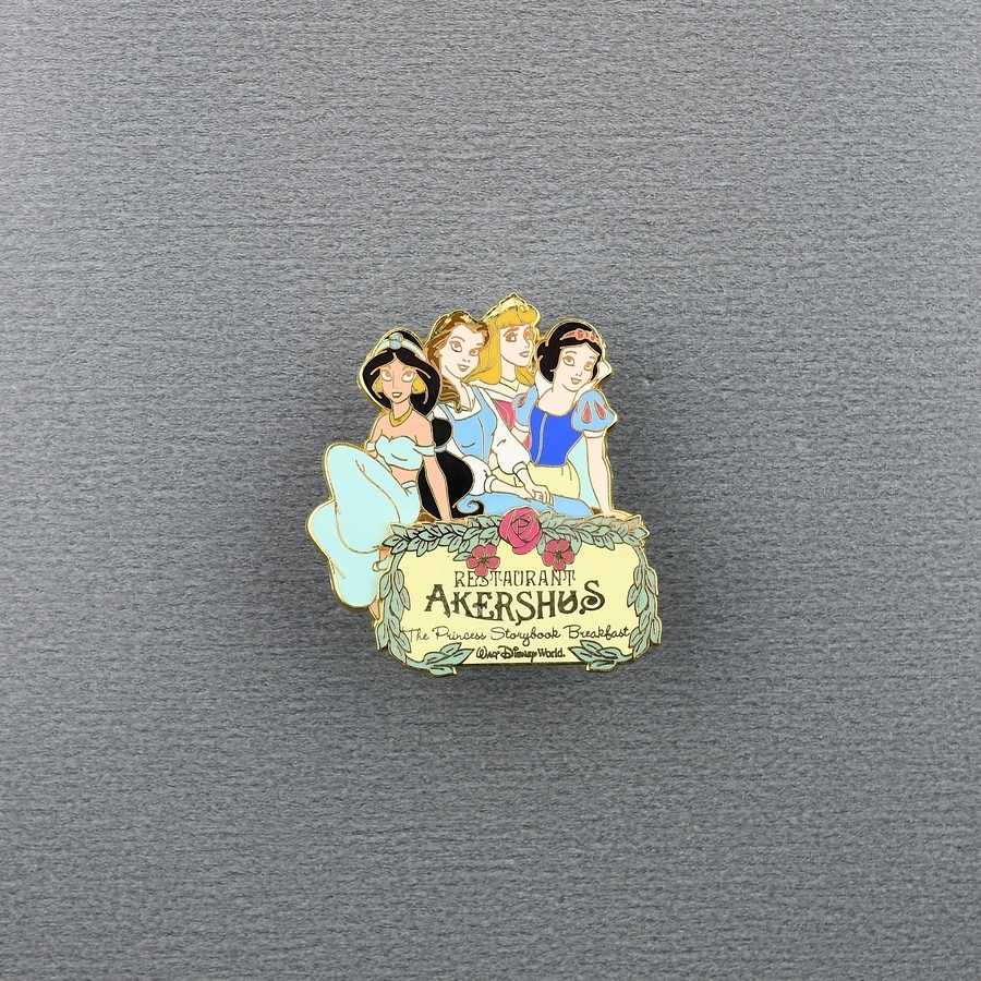 Jasmine, Belle, Aurora, and Snow White